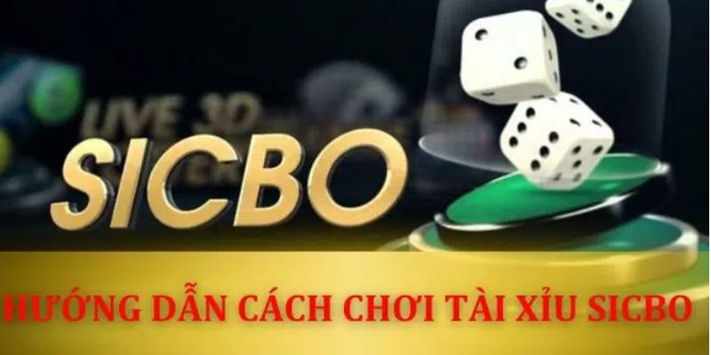 Các cửa cược cơ bản của Sicbo